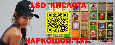 наркотики Сланцы