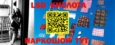 наркотики Сланцы