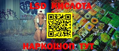 наркотики Сланцы