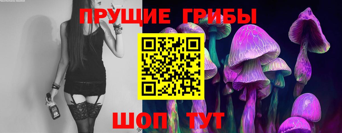 Сальск  Псилоцибиновые грибы Psilocybine cubensis  как найти   Вход с VPN 