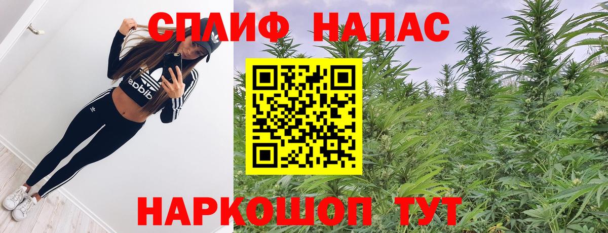 Конопля White Widow Сальск